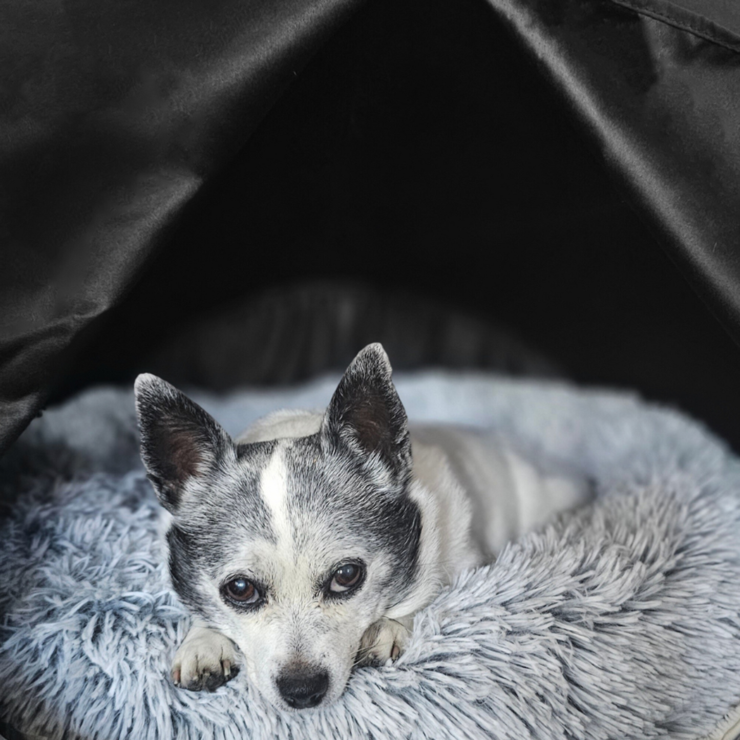 Calming Small Pet Den