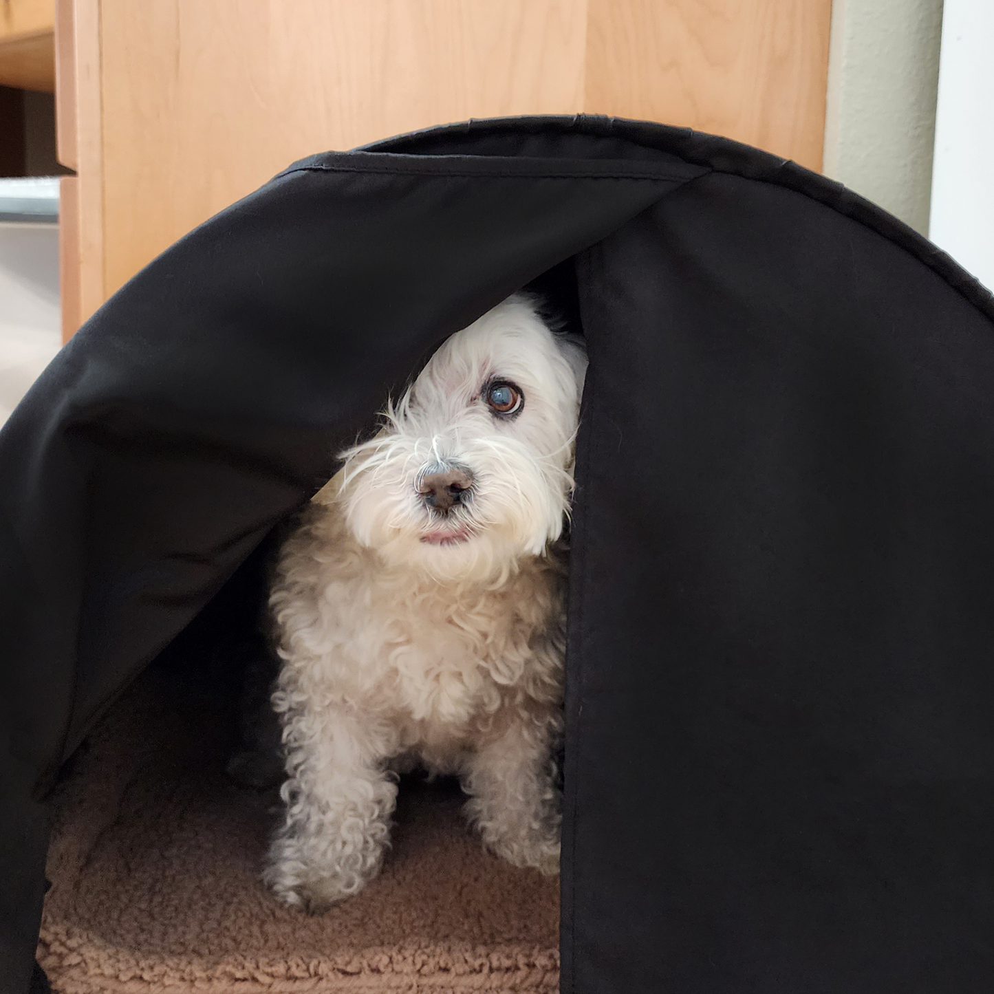 Calming Small Pet Den