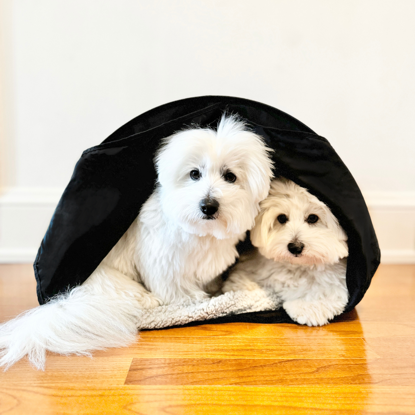 Calming Small Pet Den