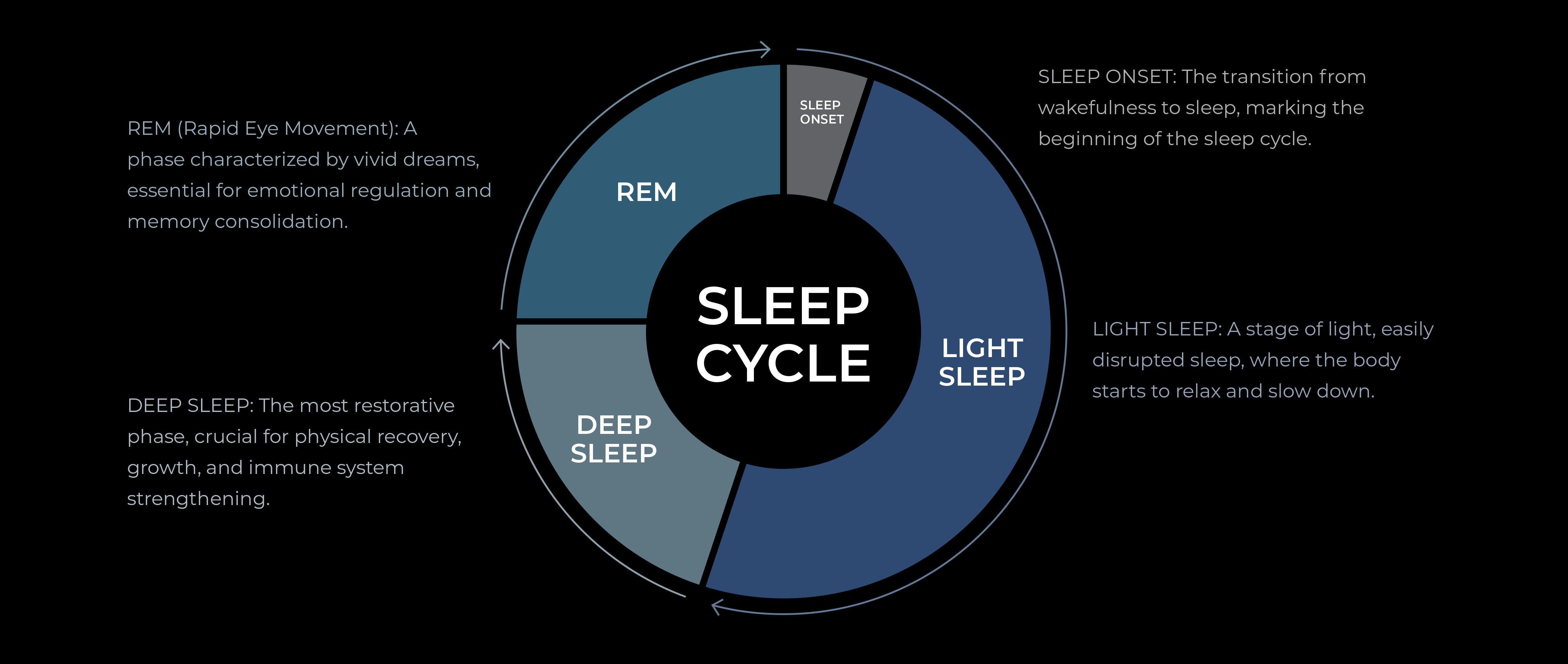 The Science of Sleep: Unveiling Its Phases and Significance – zDen LLC