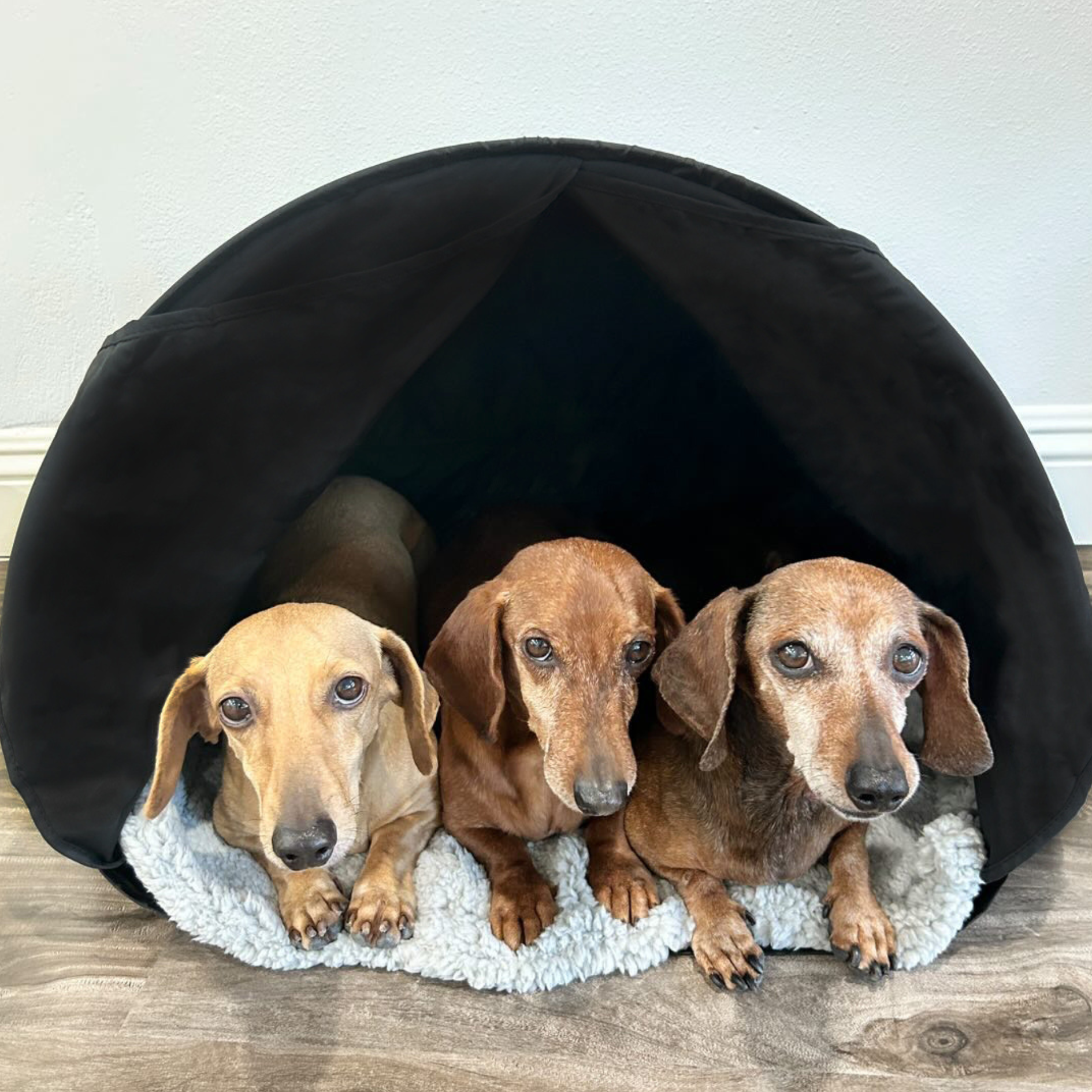 zDen Pets Cozy – Calming Den for Anxious Small Pets | Pet Retreat zDen Pets Cozy – Calming Den for Anxious Small Pets | Pet Retreat