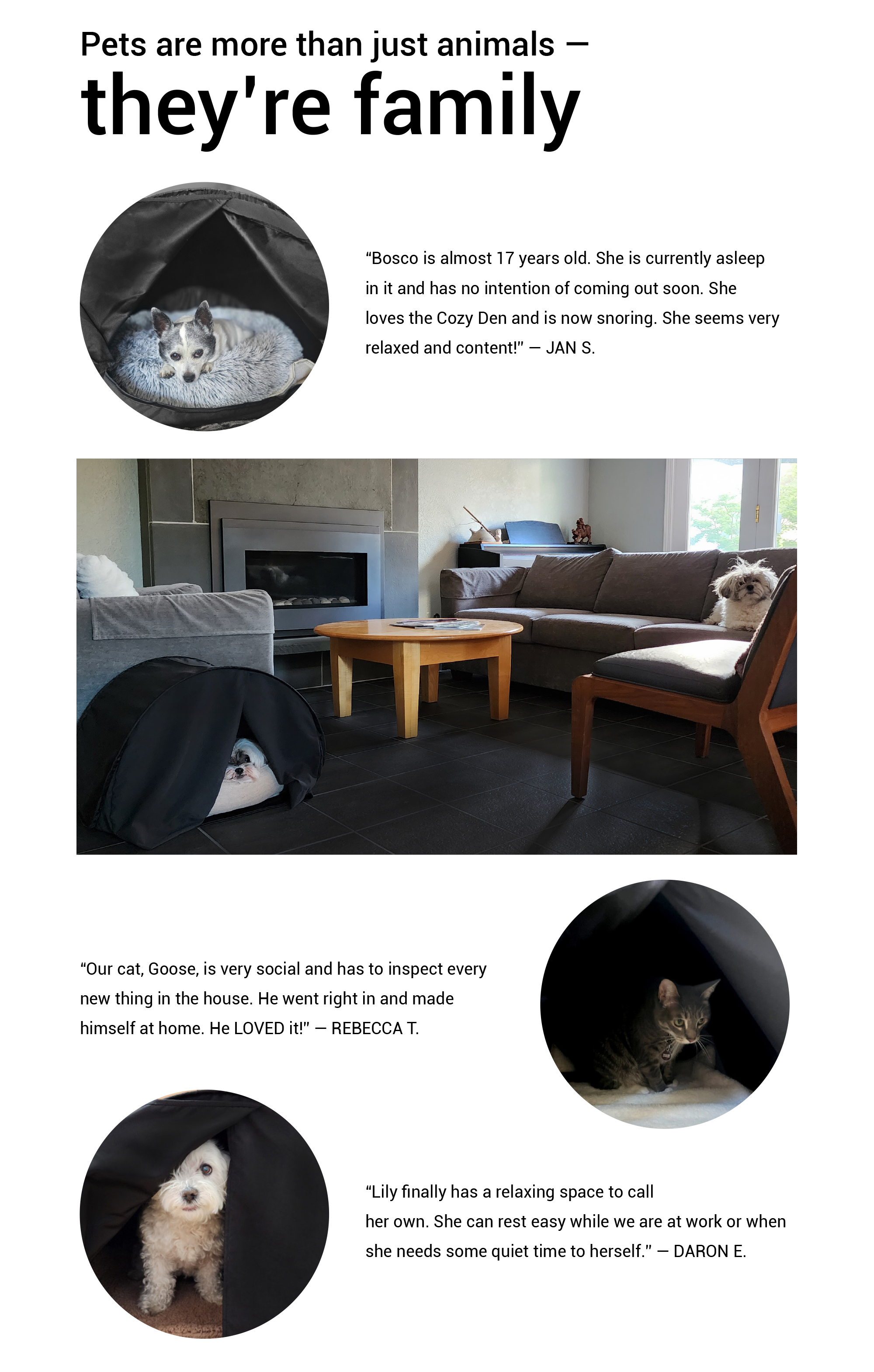 zDen Pets Cozy Hideaway Testimonials