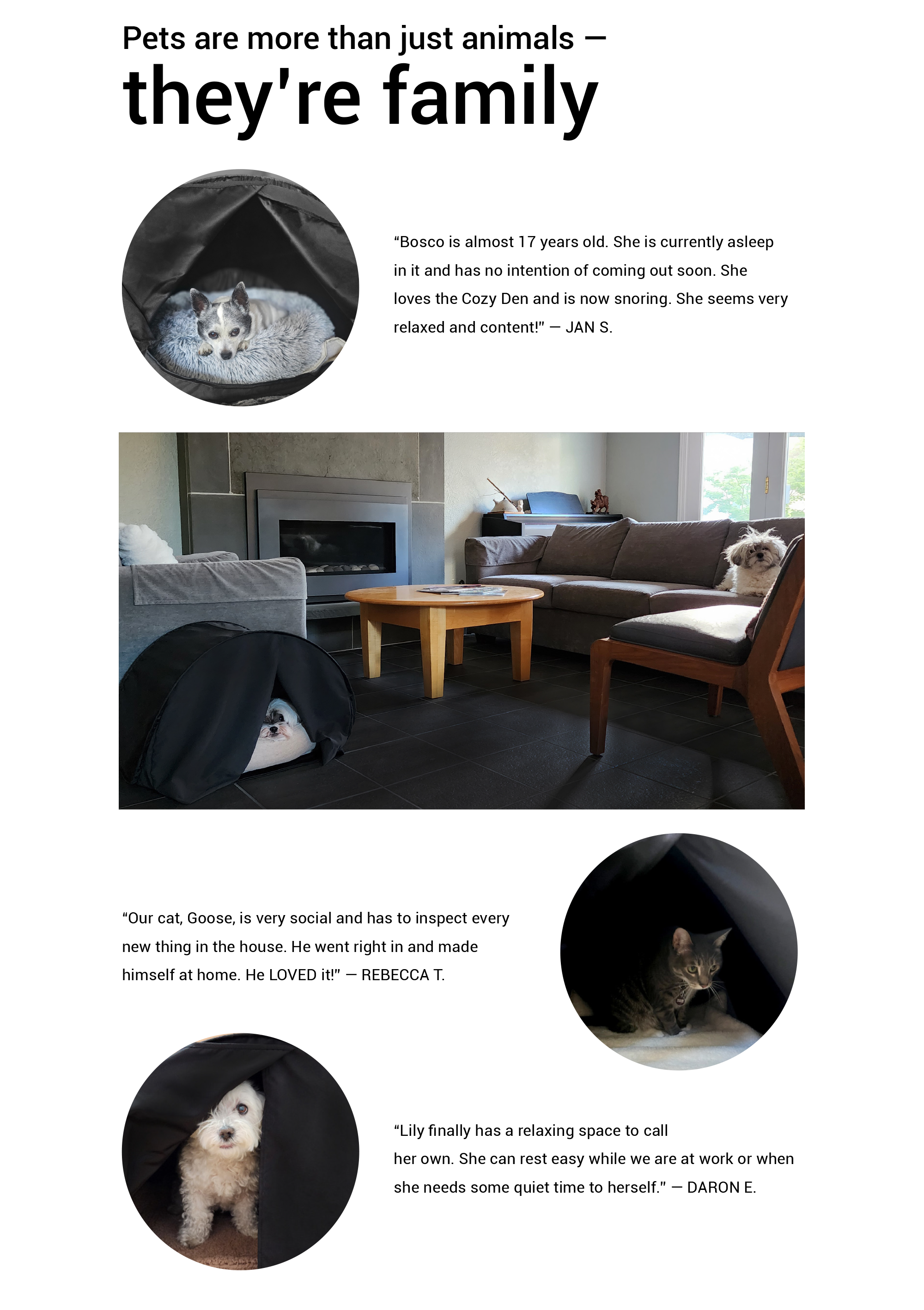 zDen Pets Cozy Hideaway Testimonials