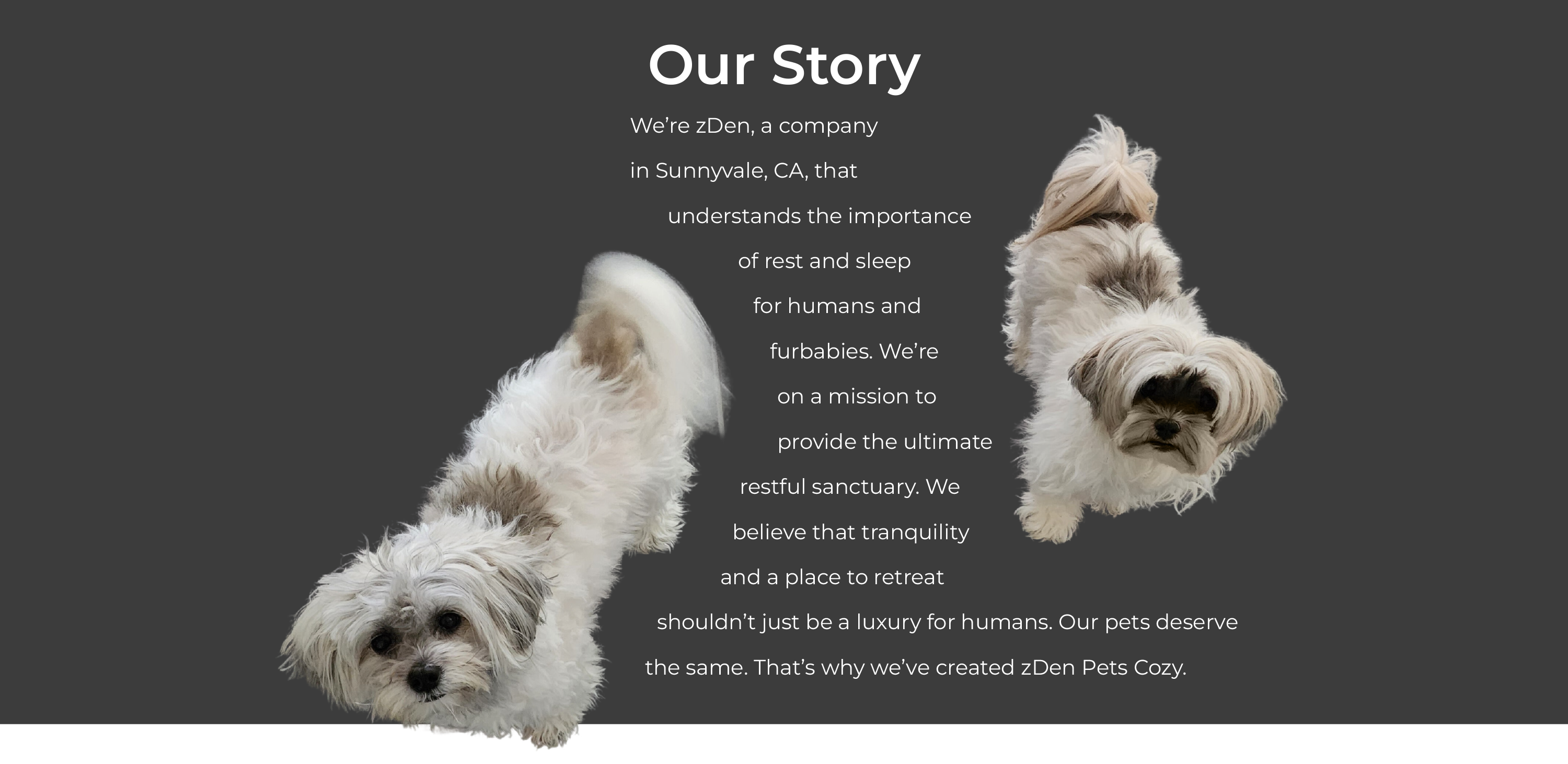 zDen pets Cozy hideaway with 2 dogs and our story text.