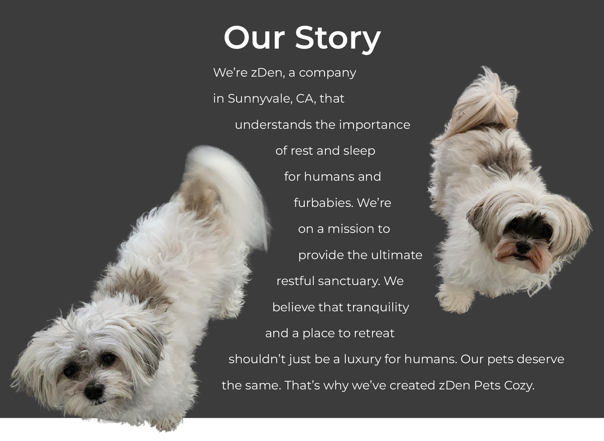 We’re zDen, a company in Sunnyvale, CA, that understands the importance of rest and sleep for humans and furbabies. We’re on a mission to provide the ultimate restful sanctuary. We believe that tranquility and a place to retreat shouldn’t just be a luxury for humans. Our pets deserve the same. That’s why we’ve created zDen Pets Cozy.