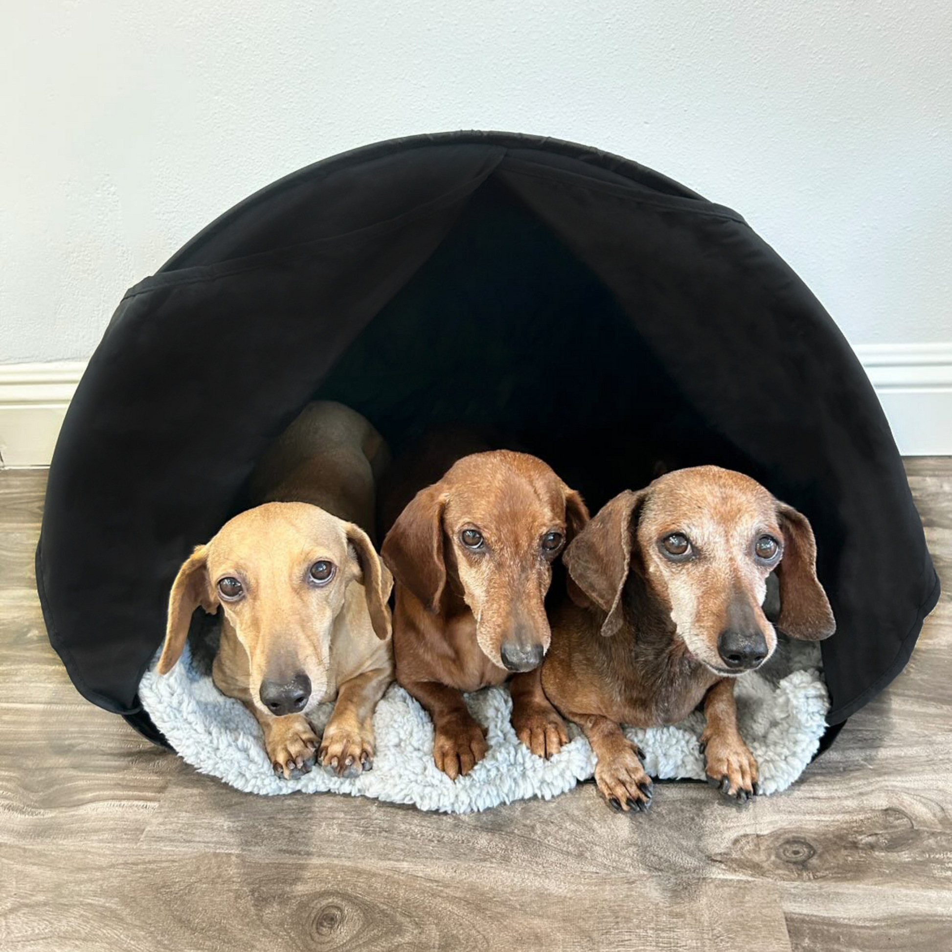 zDen Pets Cozy – Calming Den for Anxious Small Pets | Pet Retreat zDen Pets Cozy – Calming Den for Anxious Small Pets | Pet Retreat