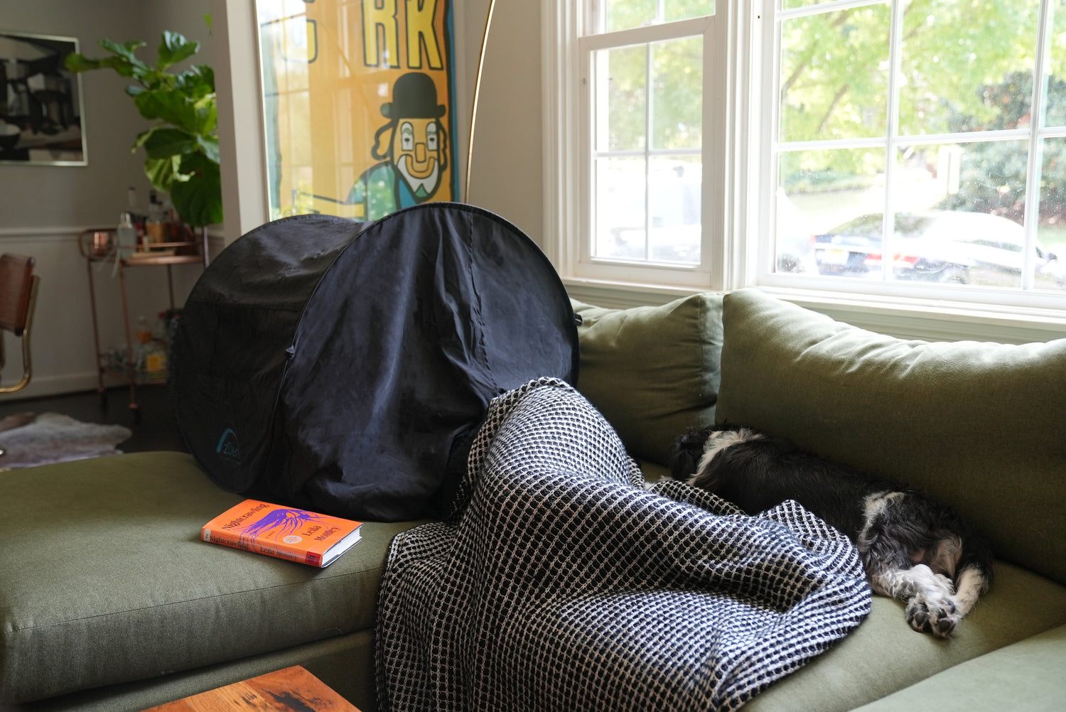 zDen allows you are to sleep anytime, anywhere like Katherine and her pup taking a power nap during the day
