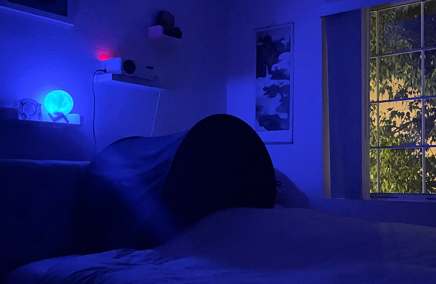 Bedroom with ambient light and zDen on bed
